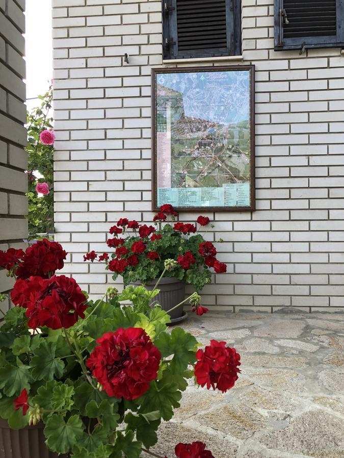 Apartmani Berghaus Златибор Екстериор снимка